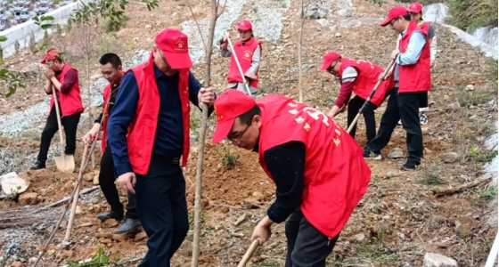 村企共建，共植先锋林